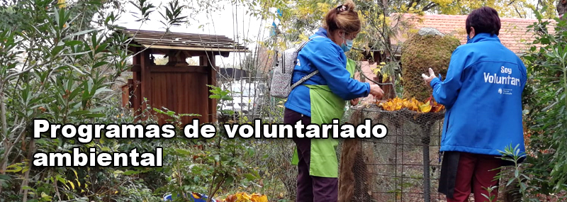 Voluntariado ambiental