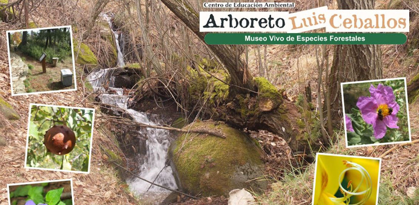 Arboreto Luis Ceballos San Lorenzo de El Escorial