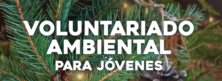 Banner voluntariado ambiental